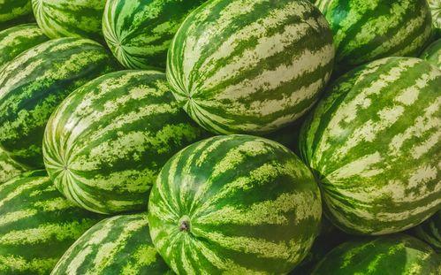 吃瓜可以在哪看,吃瓜爱好者必看平台大盘点