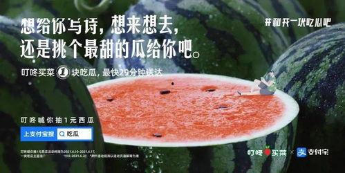 吃瓜烧烤文案,吃瓜狂欢，尽享美味时光