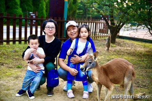 抖音游客吃瓜,游客现场吃瓜，揭秘网红景点幕后趣闻