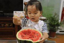 夏天吃瓜群众的姿势,吃瓜群众姿势大盘点