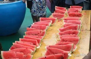 吃瓜开场,吃瓜群众视角下的娱乐圈风云录