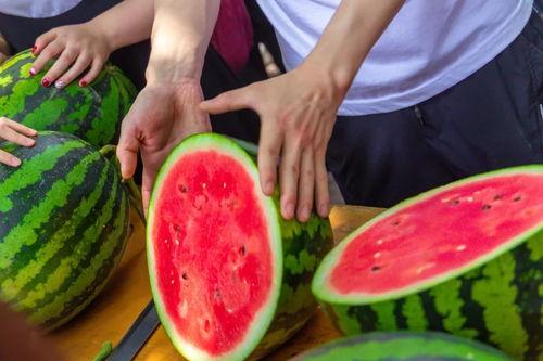 枣庄学校吃瓜事件,校园食品安全问题引发关注