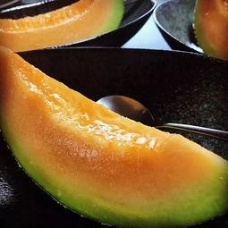 吃瓜小韩,揭秘娱乐圈那些不为人知的幕后故事