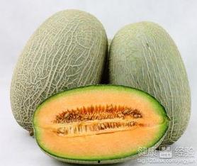 雅小姐吃哈密瓜,雅小姐的哈密瓜美食之旅