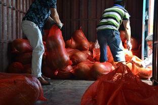 重庆超人吃瓜,揭秘网络热点的背后故事