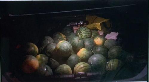 吃瓜义乌,吃瓜群众的购物天堂